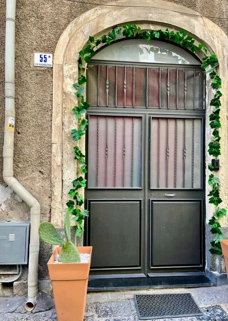 Ursino Holiday Apartment CTA Eksteriør bilde